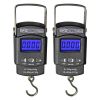 5 Core Fish Scale 110 LBS 50 KG Luggage Handheld Portable Electronic Balance Digital Fishing Postal Hanging Hook Scale with 2 AAA Batteries Built-in M